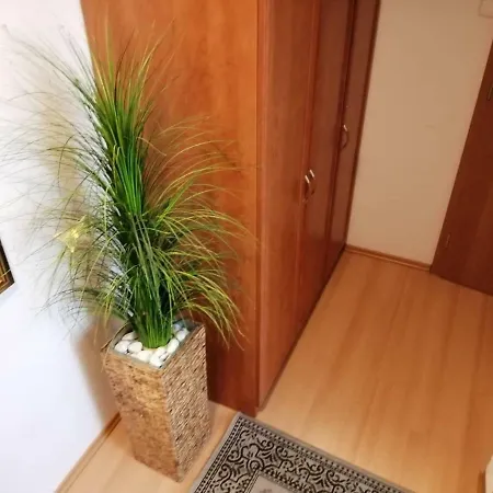 In The Center Of Appartement Teplice